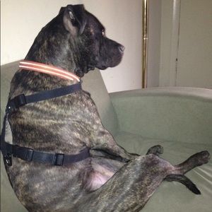 Meet your Posher, Marcus